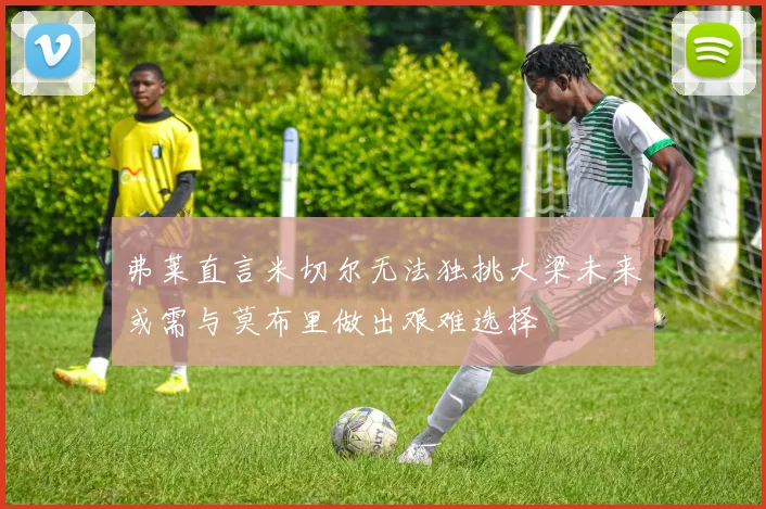弗莱直言米切尔无法独挑大梁未来或需与莫布里做出艰难选择