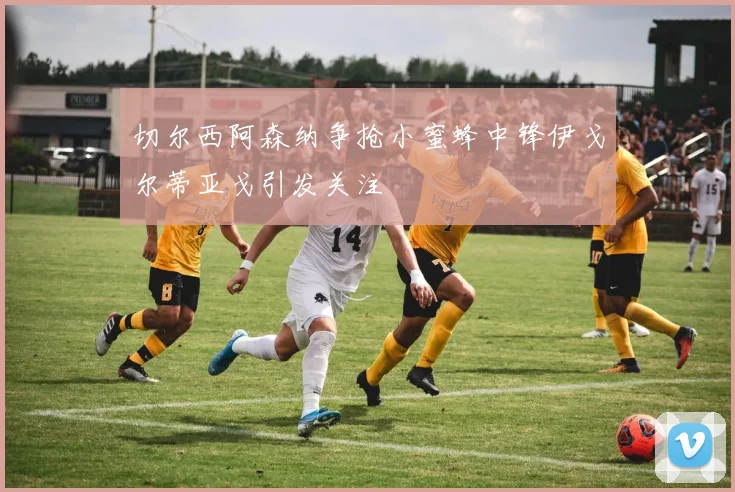 切尔西阿森纳争抢小蜜蜂中锋伊戈尔蒂亚戈引发关注