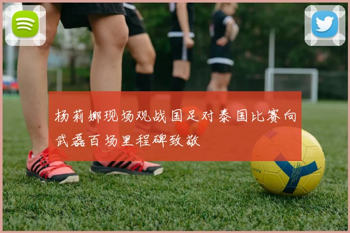 杨莉娜现场观战国足对泰国比赛向武磊百场里程碑致敬